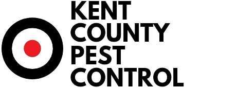 Kent County Pest Control